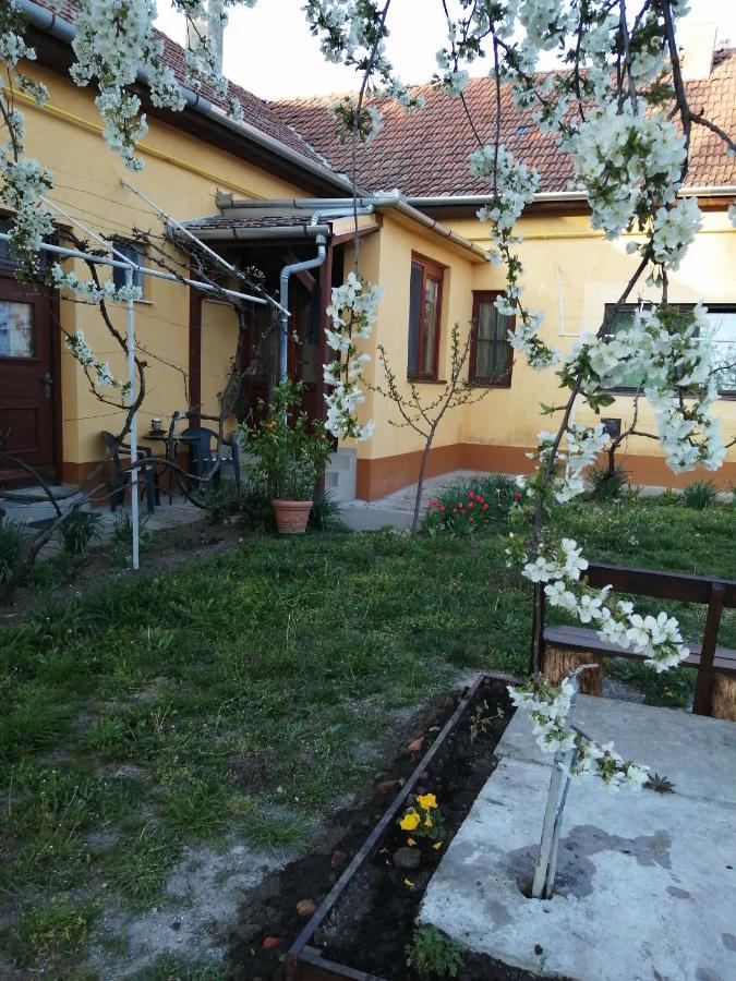 Harsfak Villa Mezokovacshaza Eksteriør bilde